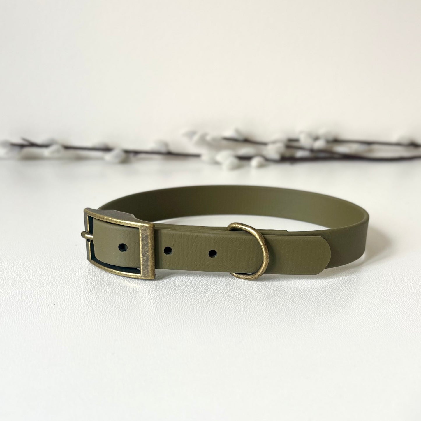 Olive green biothane dog collar with antique brass