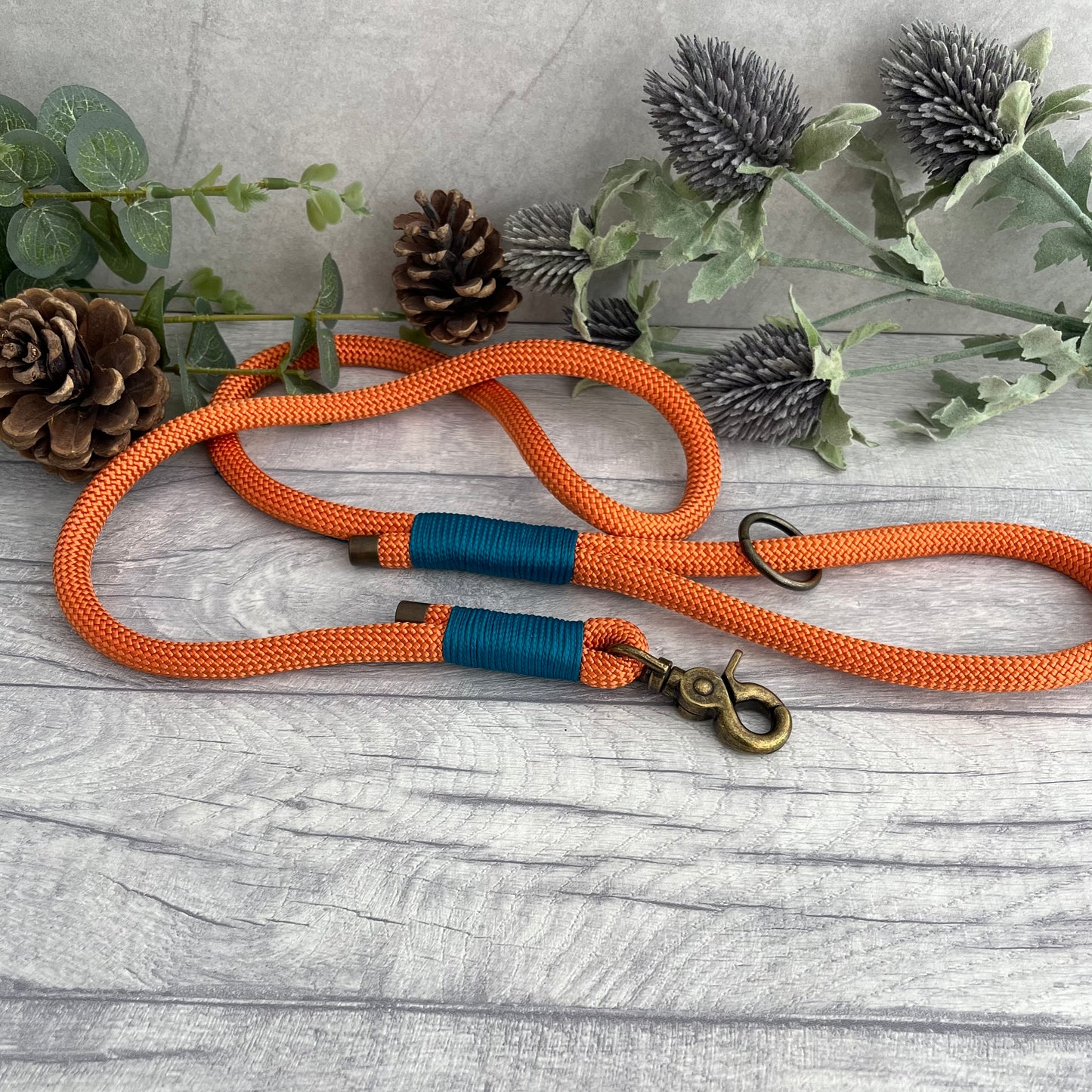 Orange rope lead with Aqua whipping securing a swivel clip at one end and fastening a handle at the other. The handle has an O-ring attached. Each end of the rope is finished with a metal end cap. All hardware for this lead is in Antique Brass