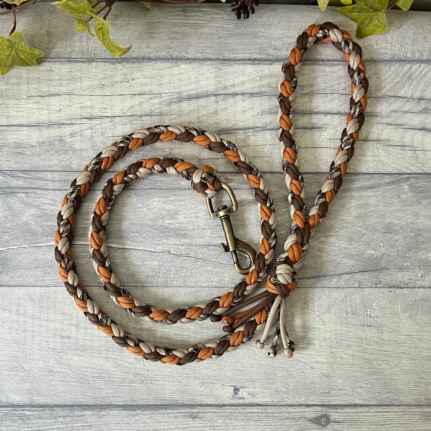 Autumn Trail Braided Rope Lead