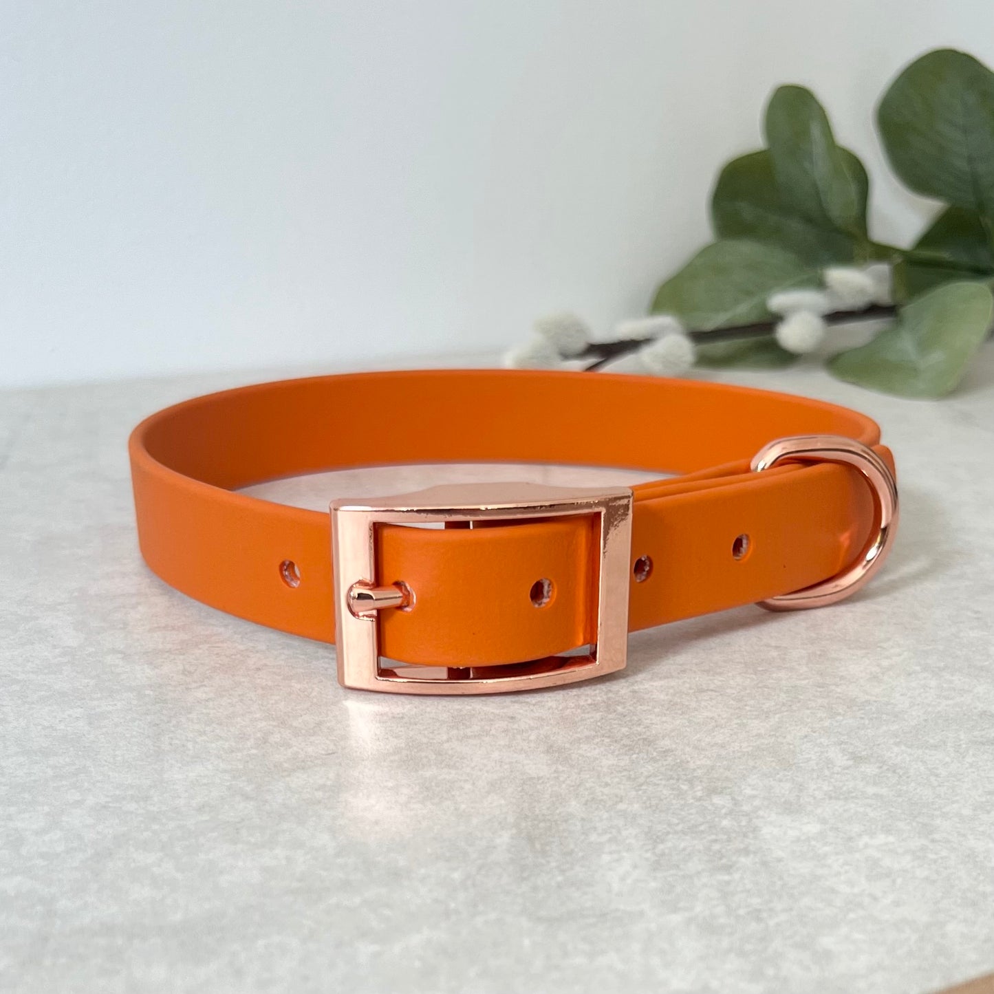 Orange Biothane dog collar with Rose Gold hardware. The collar is fastened with a buckle and has a d-ring. There are 5 punched holes spaced 2cm
