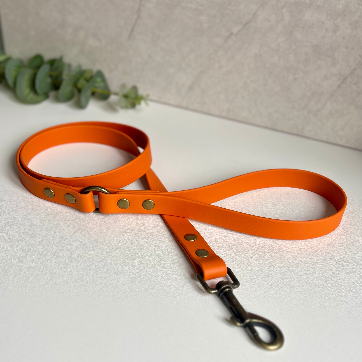 Orange dog lead with antique brass hardware on a white background