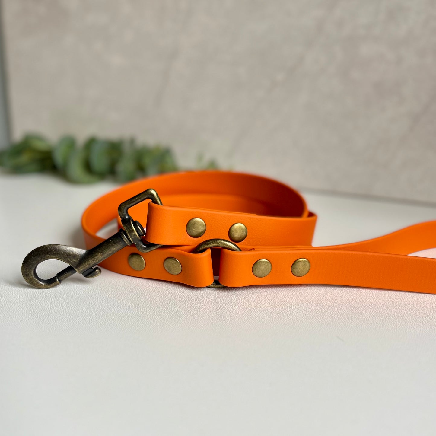 Orange dog lead with antique brass hardware on a white background
