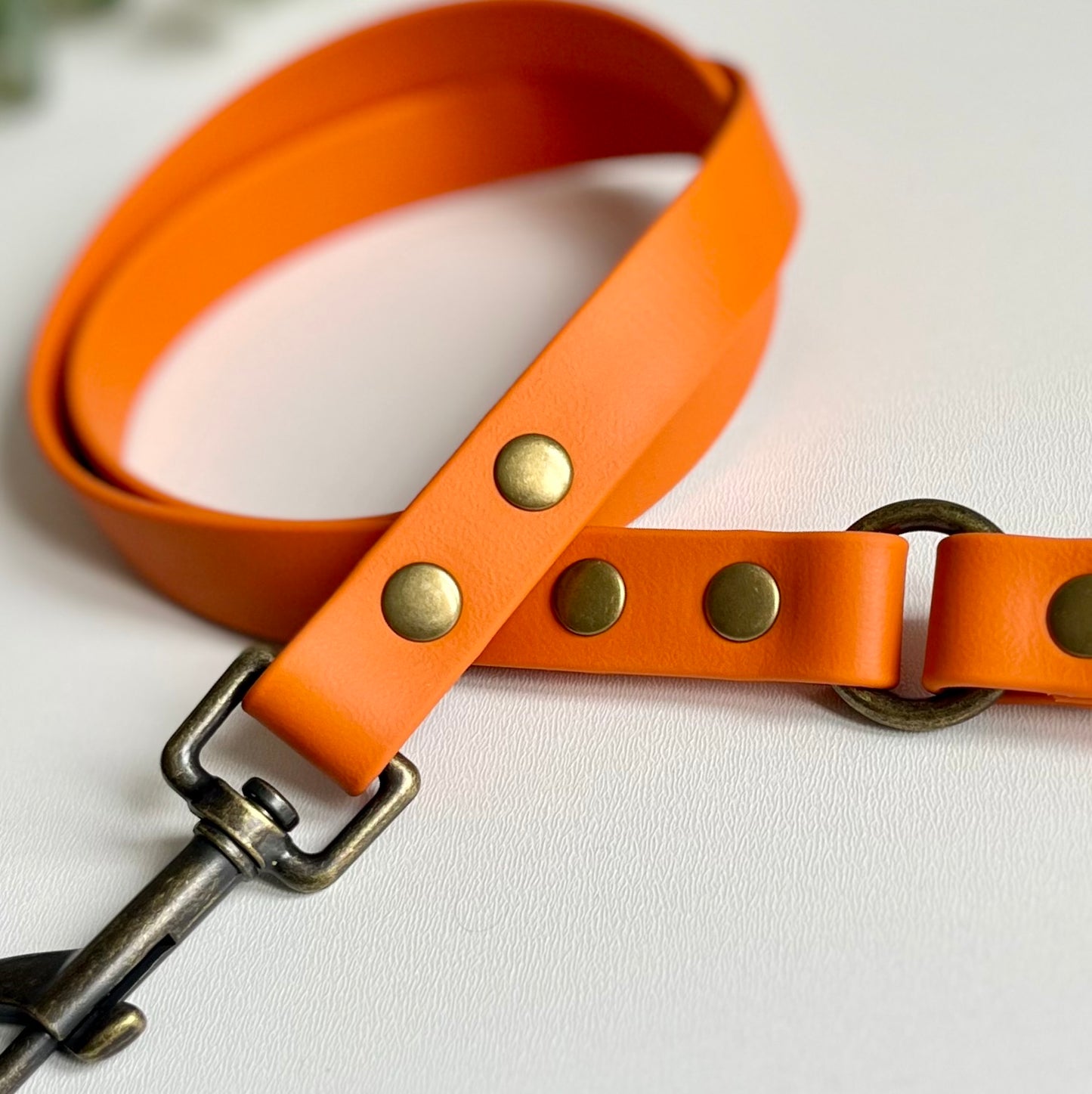 Orange dog lead with antique brass hardware on a white background