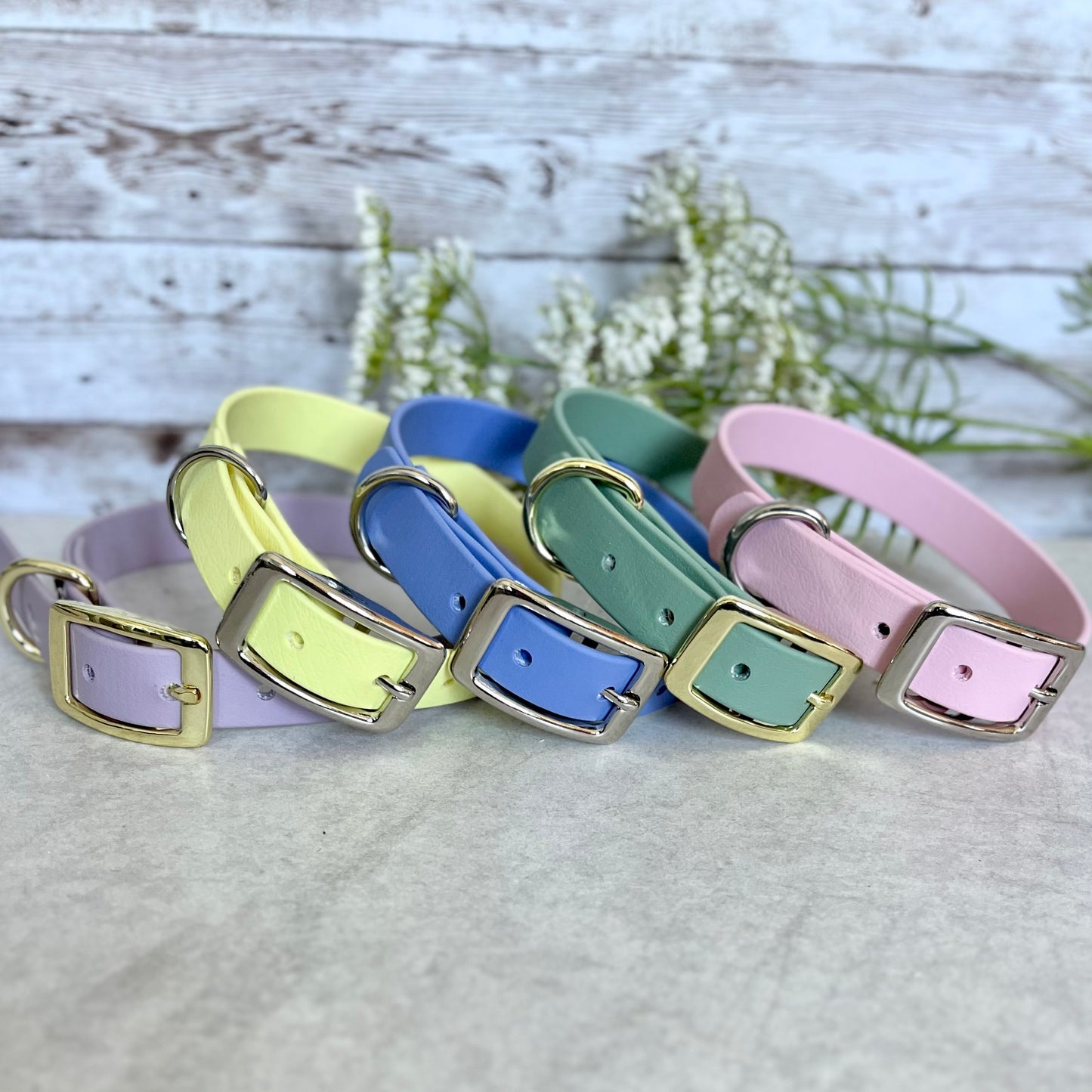BioThane® Dog Collars