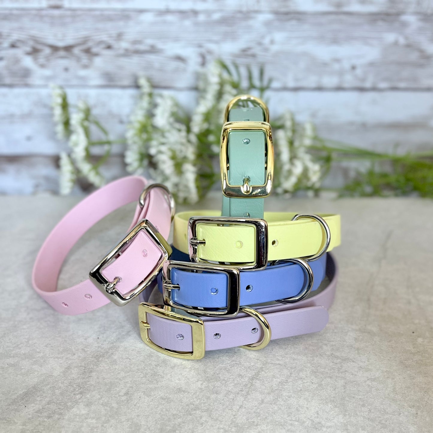 BioThane® Dog Collars