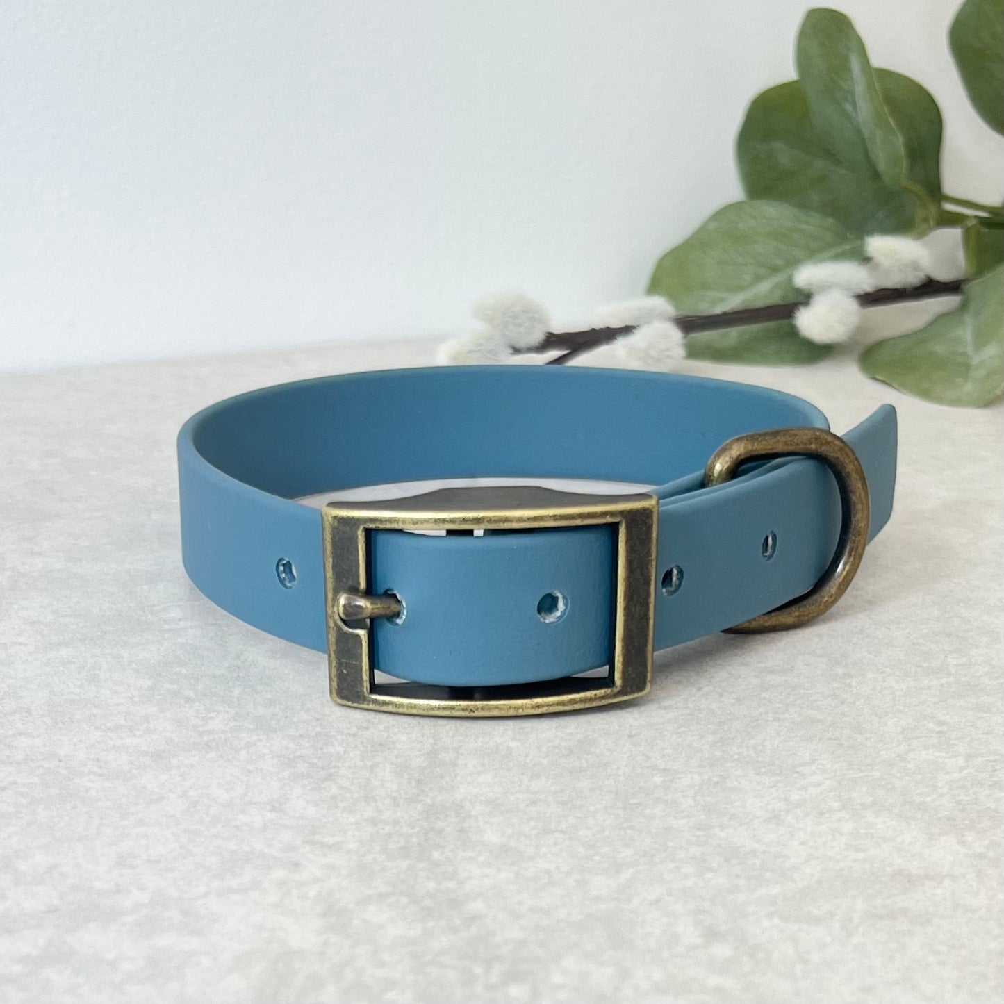 Petrol Blue Biothane dog collar with Antique Brass hardware. The collar is fastened with a buckle and has a d-ring. There are 5 punched holes spaced 2cm apart.