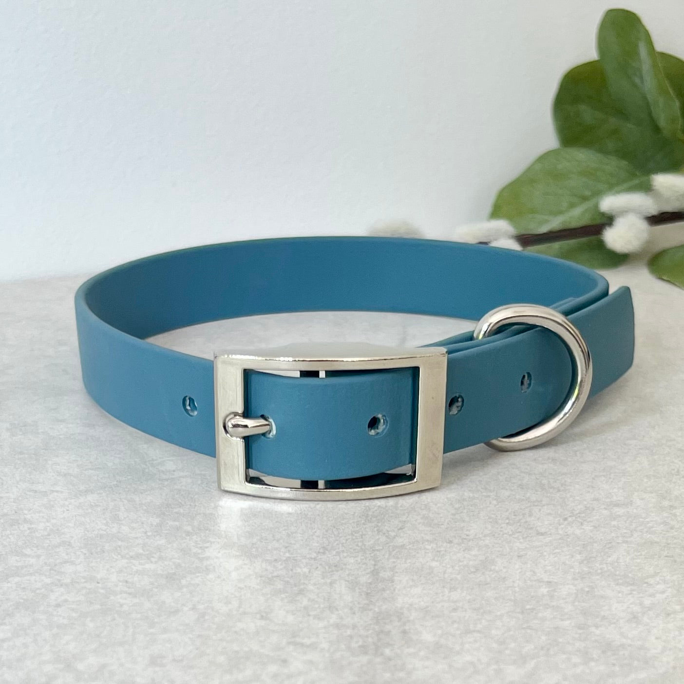 Petrol Blue Biothane dog collar with Silver hardware. The collar is fastened with a buckle and has a d-ring. There are 5 punched holes spaced 2cm apart.