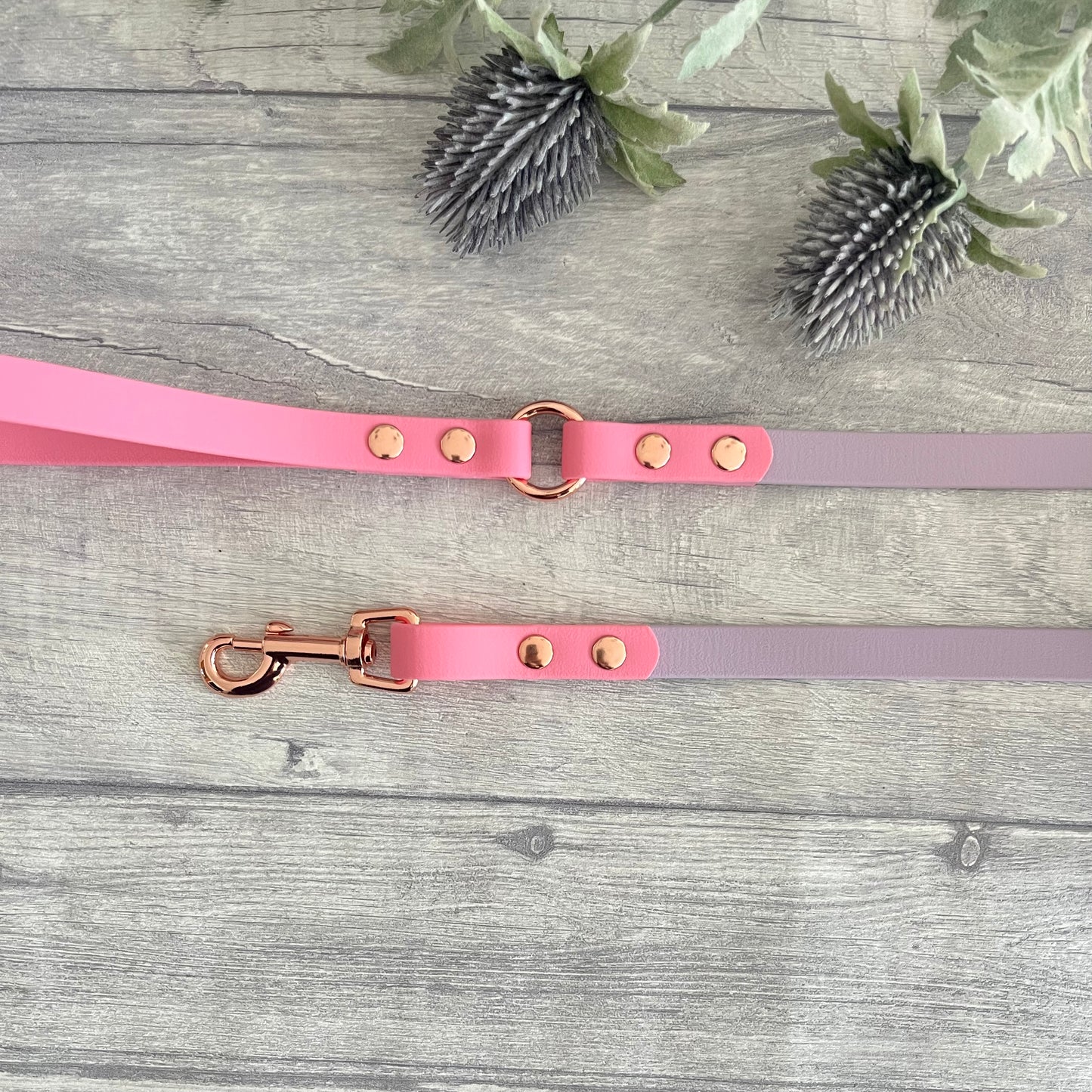 Two coloured Biothane dog lead. The handle and accent colour at the clip end of the lead is Pink, the mail lead colour is Lavender giving the lead a two tone look. The hardware is Rose Gold