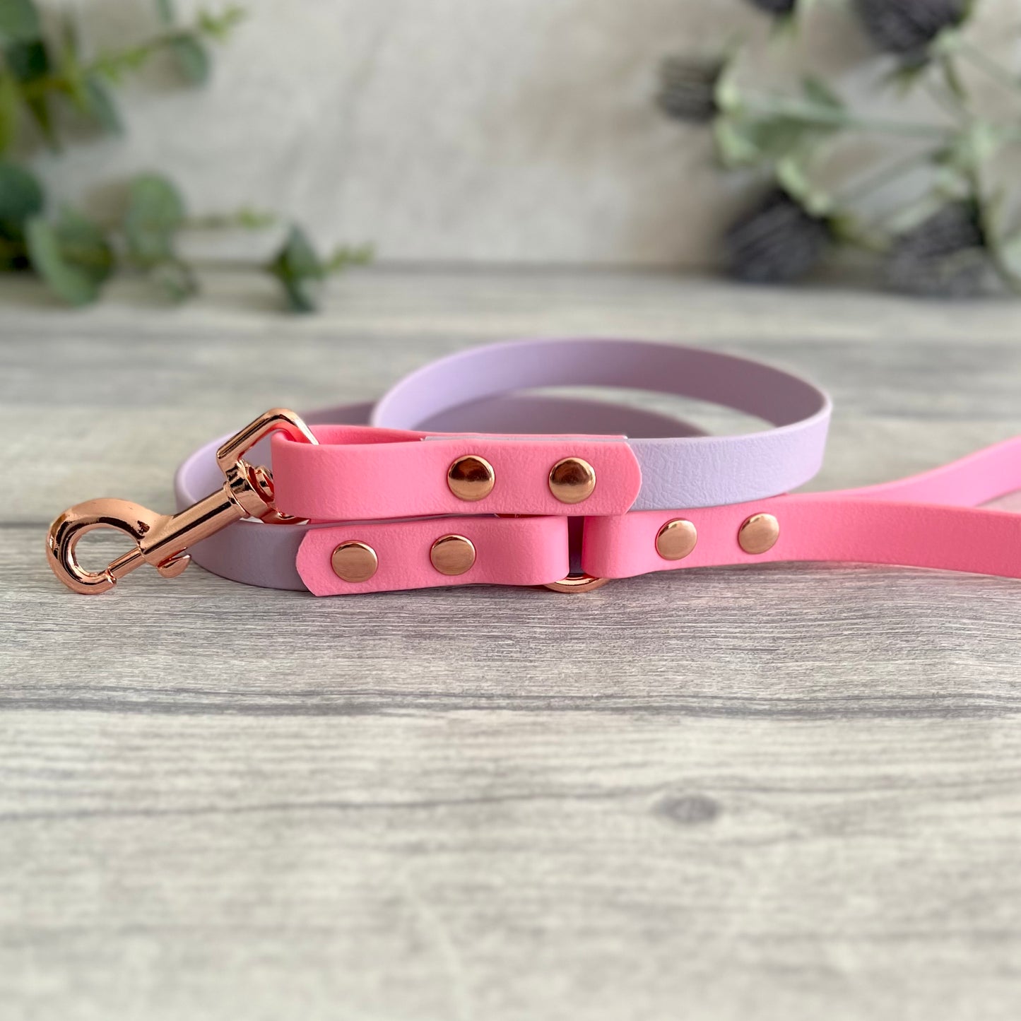 Two coloured Biothane dog lead. The handle and accent colour at the clip end of the lead is Pink, the mail lead colour is Lavender giving the lead a two tone look. The hardware is Rose Gold