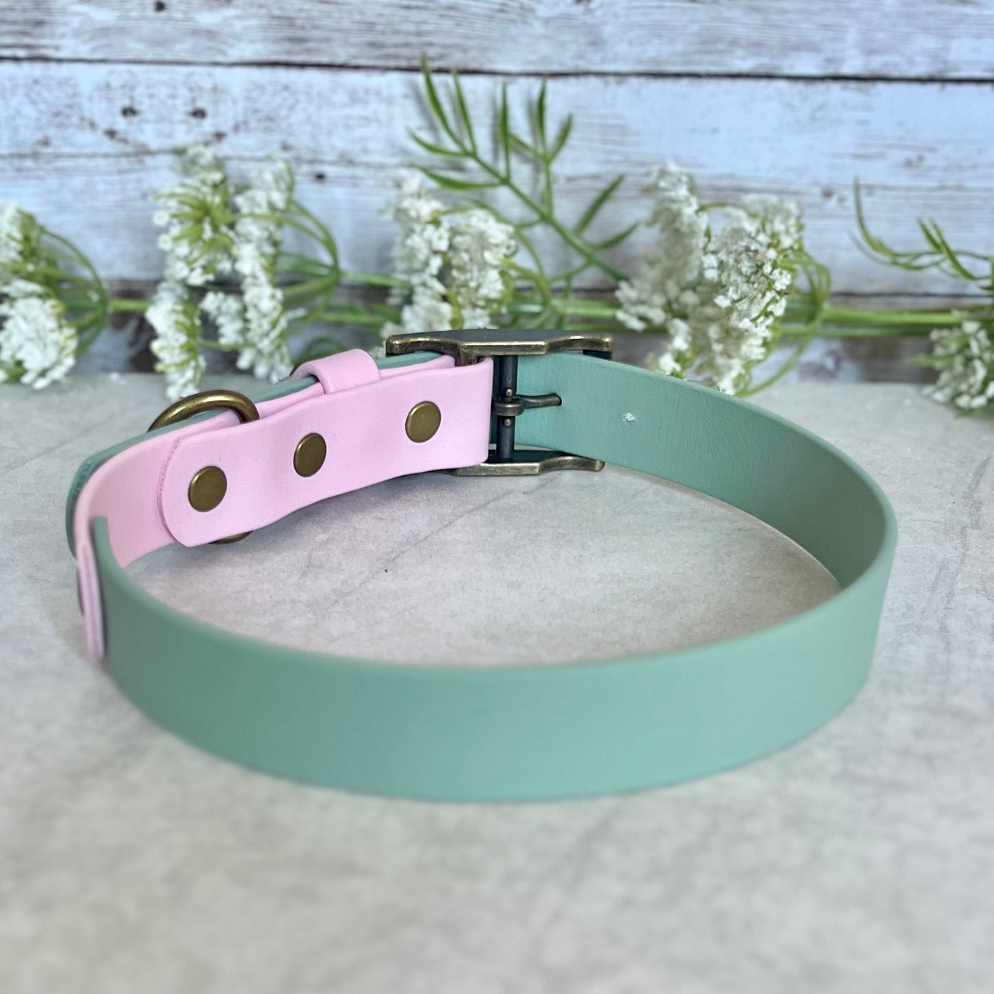 Two tone dog collar in Sage Green and Light Pink. The collar strap is two colous fixed together with a rivet. The collar has a Biothane strap keeper and a metal D-ring with 5 x punched holes. All hardware is Antique Brass