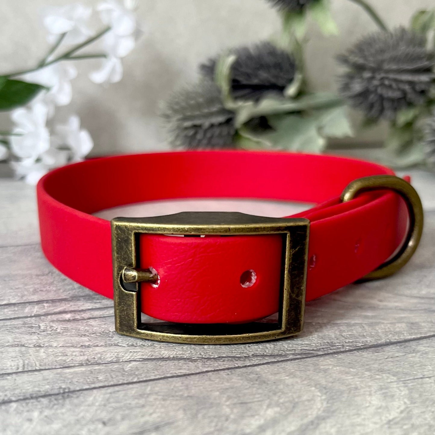 Biothane custom collar in Red with Antique Brass buckle and a D-ring. The collar has 5 holes which are spaced 2cm apart. Soft leather appearance