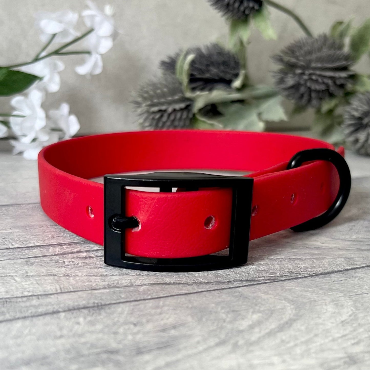 Biothane custom collar in Red with Black buckle and a D-ring. The collar has 5 holes which are spaced 2cm apart. Soft leather appearance