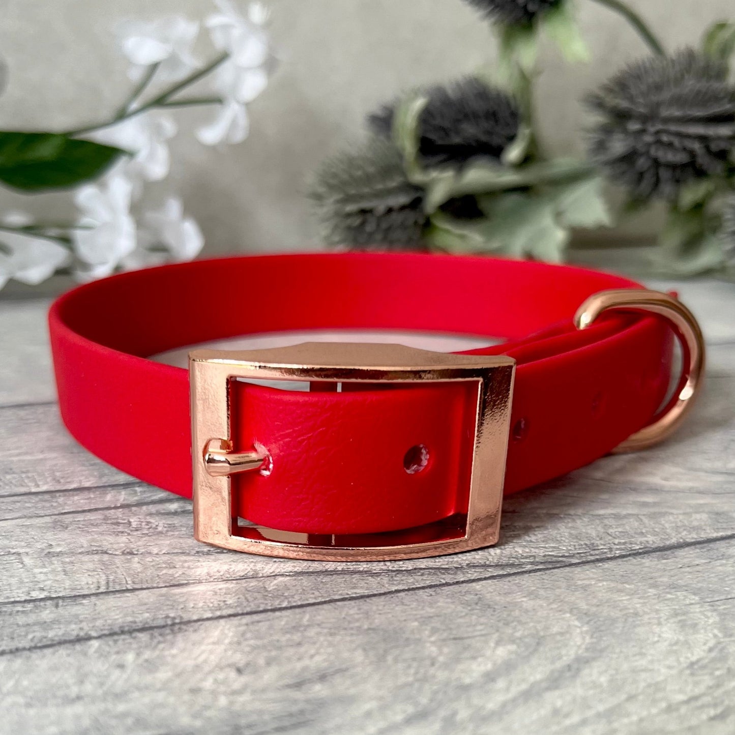 Biothane custom collar in Red with Rose Gold buckle and a D-ring. The collar has 5 holes which are spaced 2cm apart. Soft leather appearance