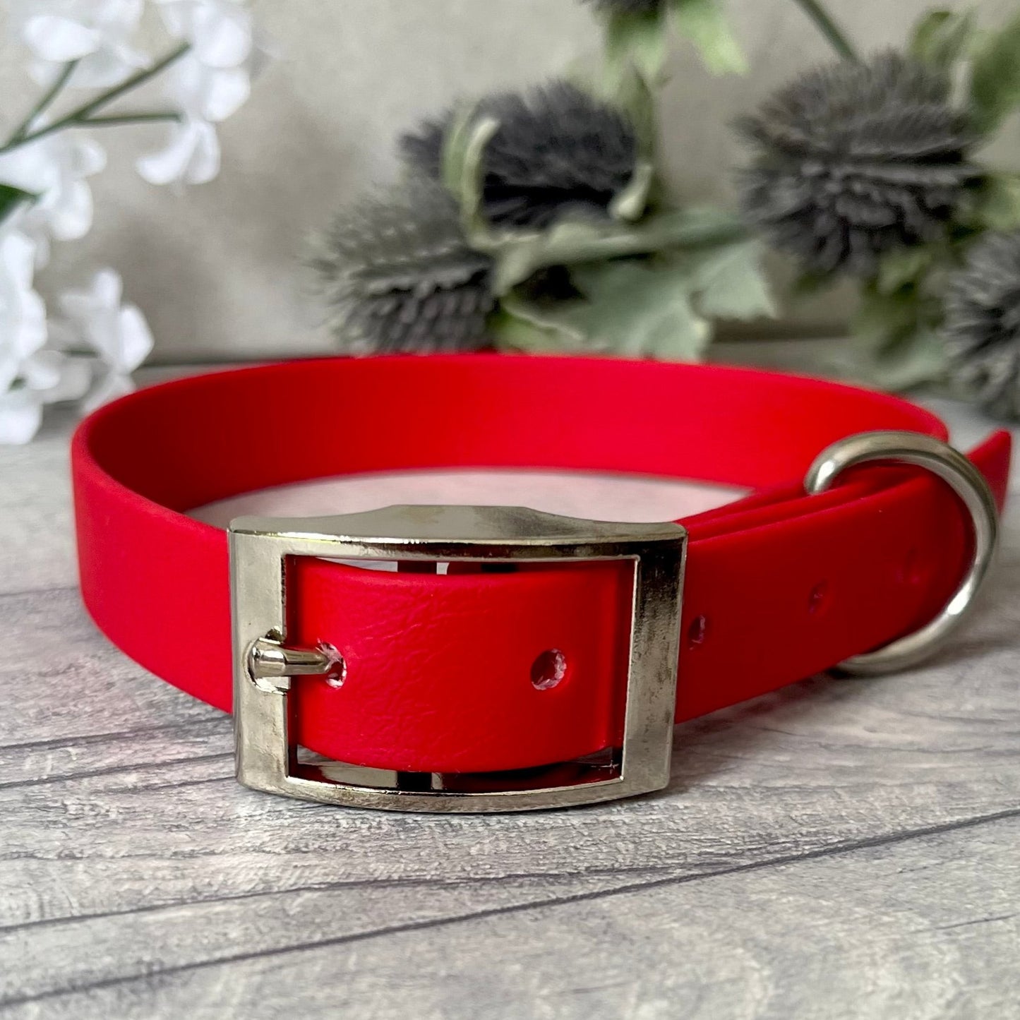 Biothane custom collar in Red with Silver buckle and a D-ring. The collar has 5 holes which are spaced 2cm apart. Soft leather appearance