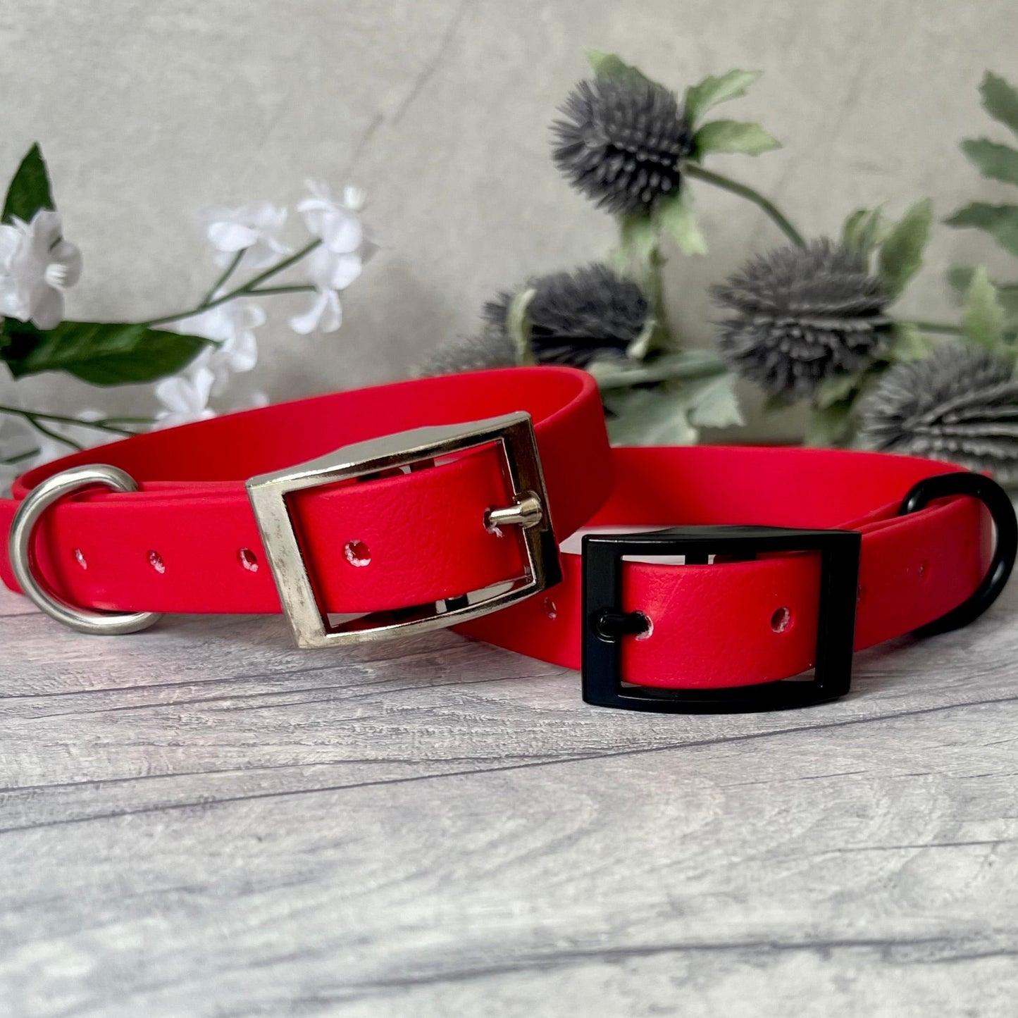 Two Red Biothane custom collar in Red with Silver & Black buckle and a D-ring. The collars have 5 holes which are spaced 2cm apart. Soft leather appearance