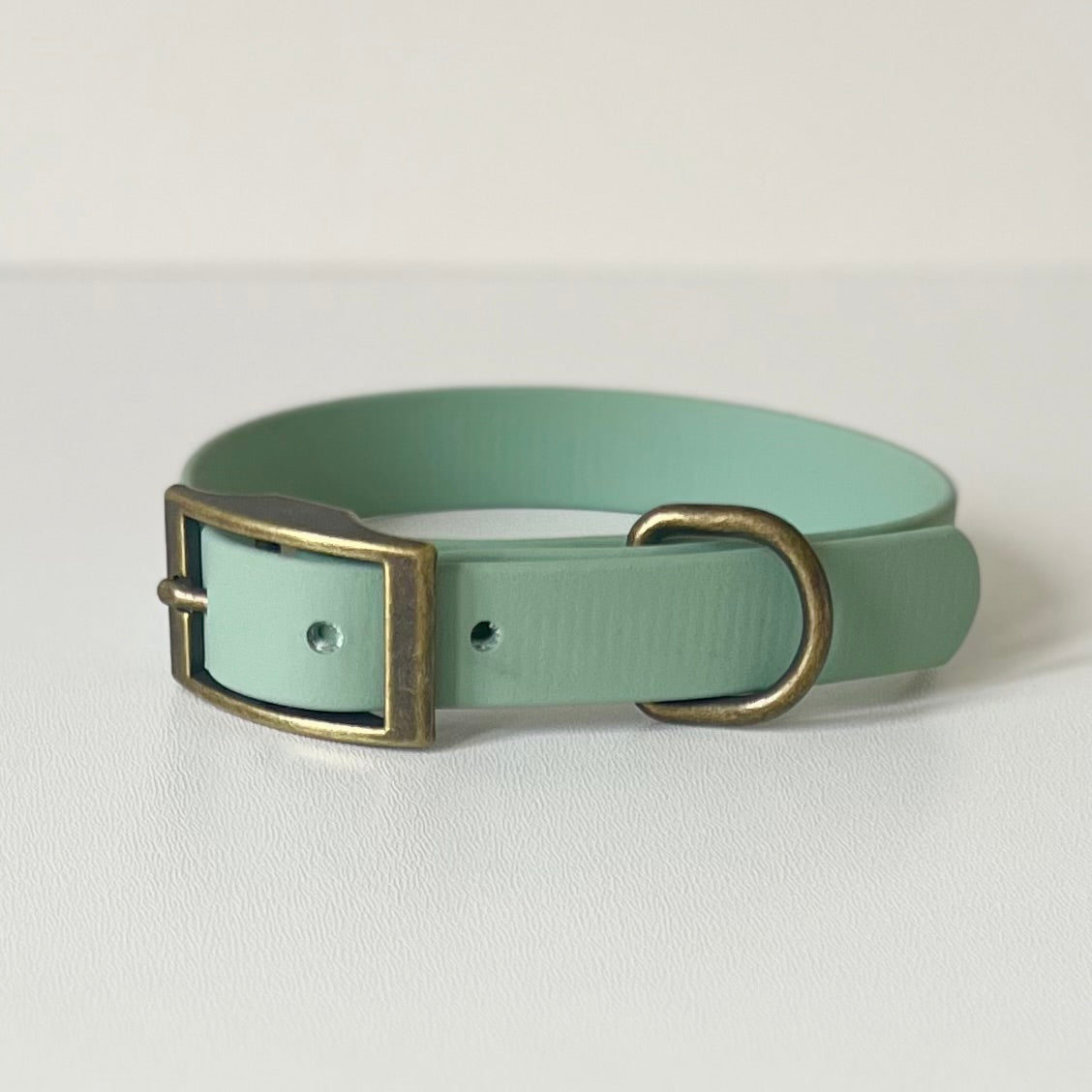 Sage green Biothane dog collar with antique brass hardware