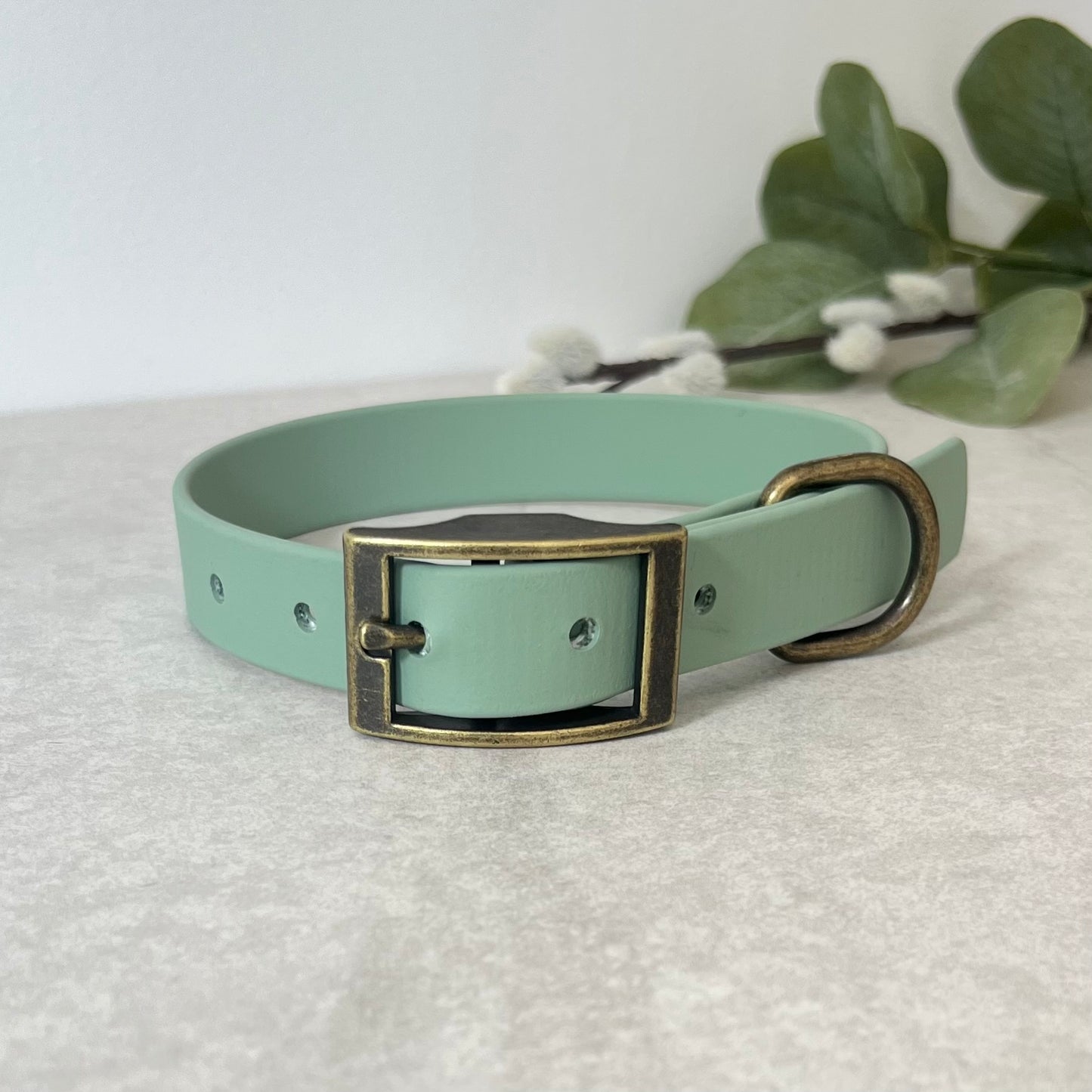 Biothane custom collar in Sage Green with Antique Brass buckle and a D-ring. The collar has 5 holes which are spaced 2cm apart. Soft leather appearance