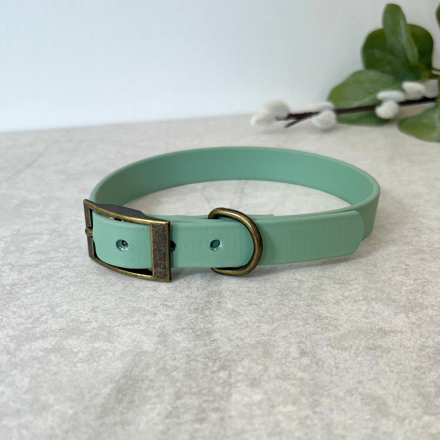 Biothane custom collar in Sage Green with Antique Brass buckle and a D-ring. The collar has 5 holes which are spaced 2cm apart. Soft leather appearance