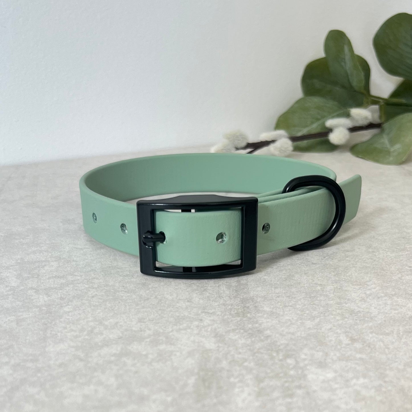 Biothane custom collar in Sage Green with Black buckle and a D-ring. The collar has 5 holes which are spaced 2cm apart. Soft leather appearance