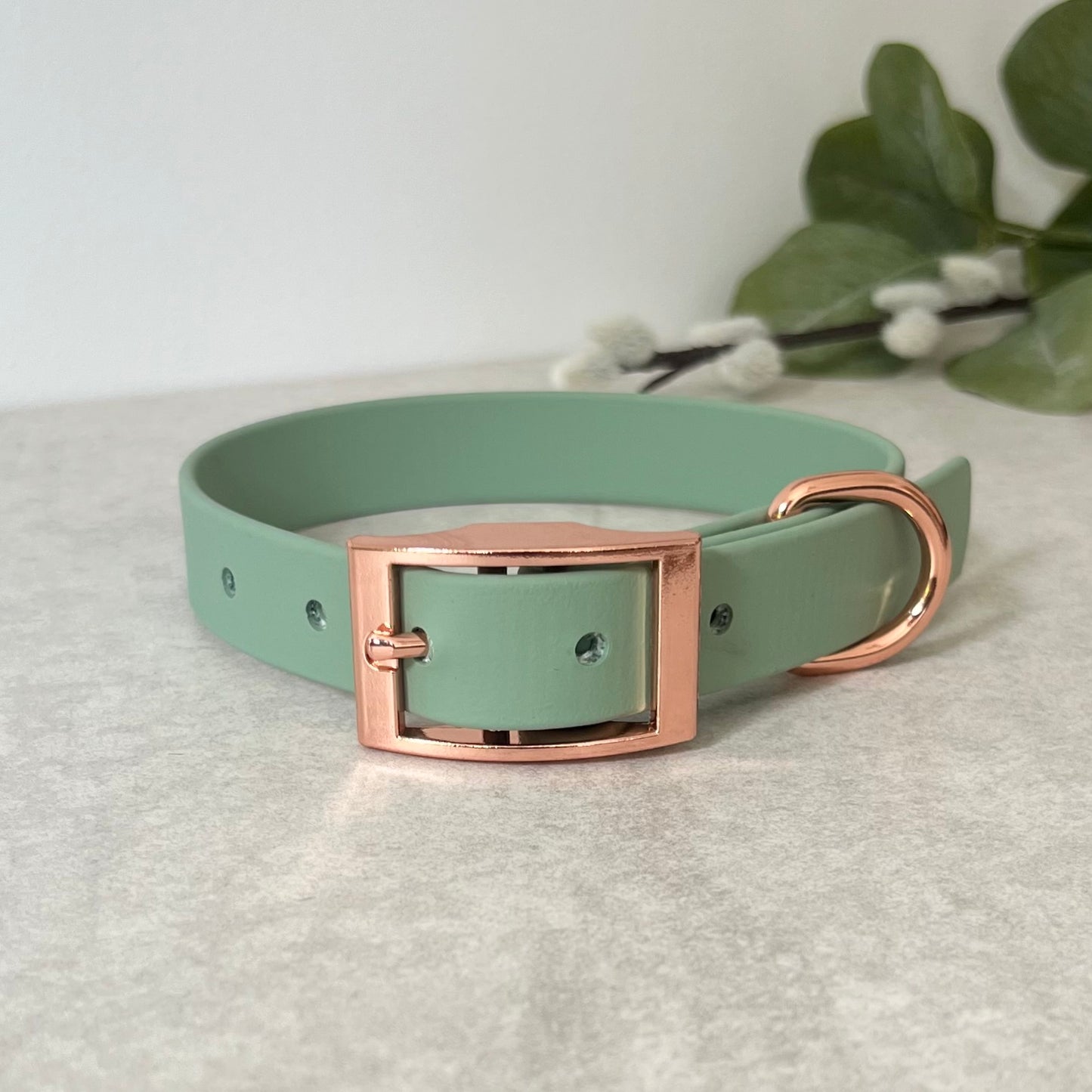 Biothane custom collar in Sage Green with Rose Gold buckle and a D-ring. The collar has 5 holes which are spaced 2cm apart. Soft leather appearance