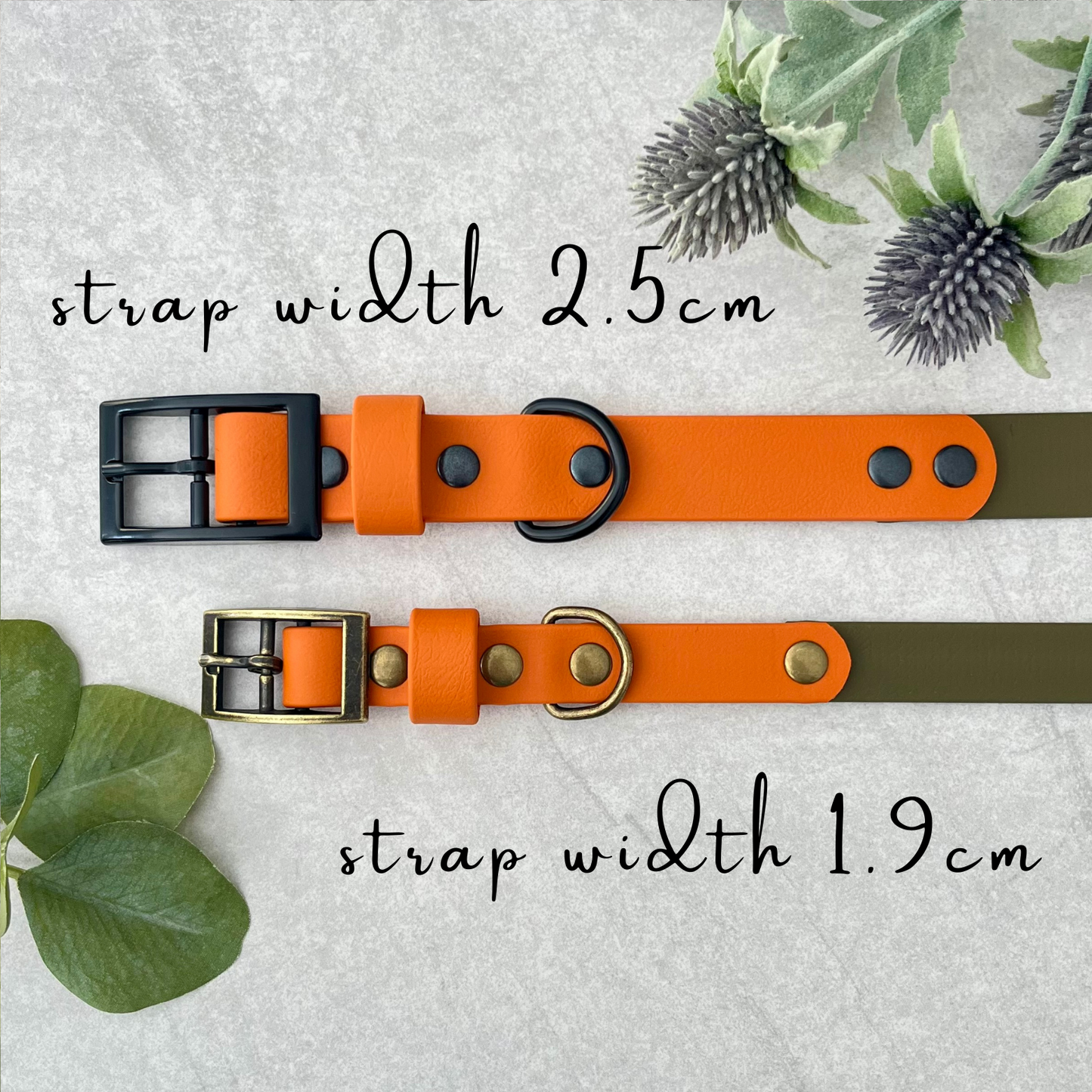 Two orange dog collars with different strap widths on a textured surface with leaves.