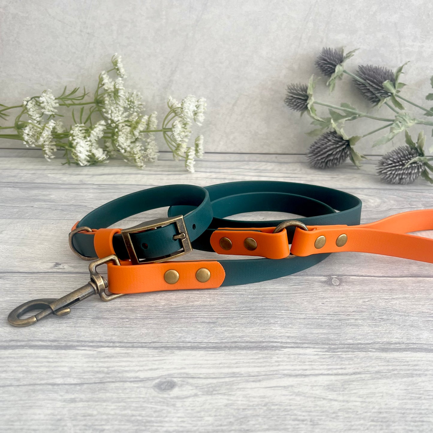 Green & Orange BioThane® Dog Collar
