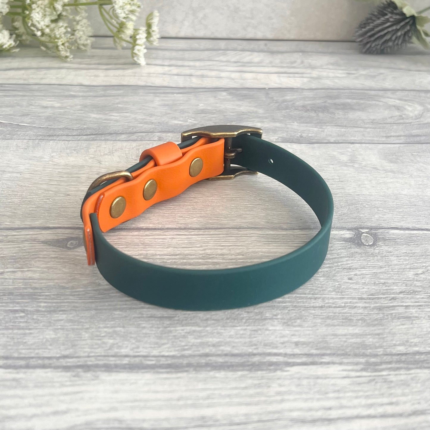 Green & Orange BioThane® Dog Collar