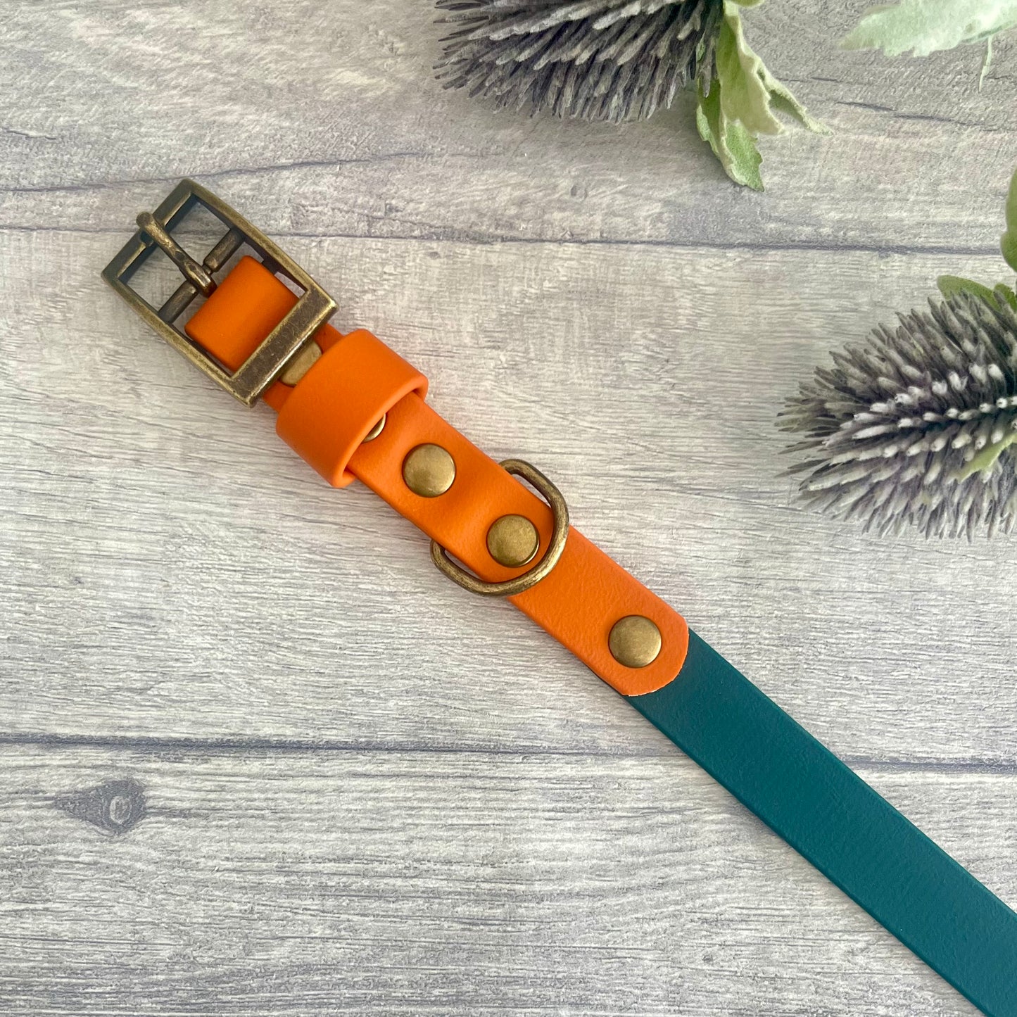 Green & Orange BioThane® Dog Collar