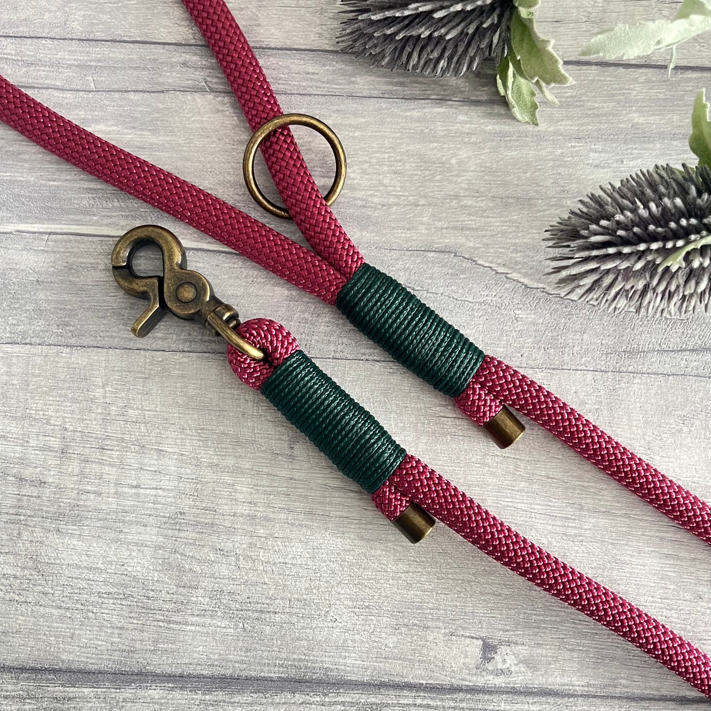 Viva La Vino Red Paracord Rope Dog Lead