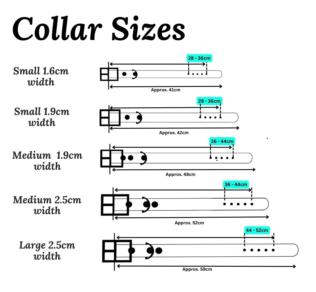 Periwinkle BioThane® Dog Collar