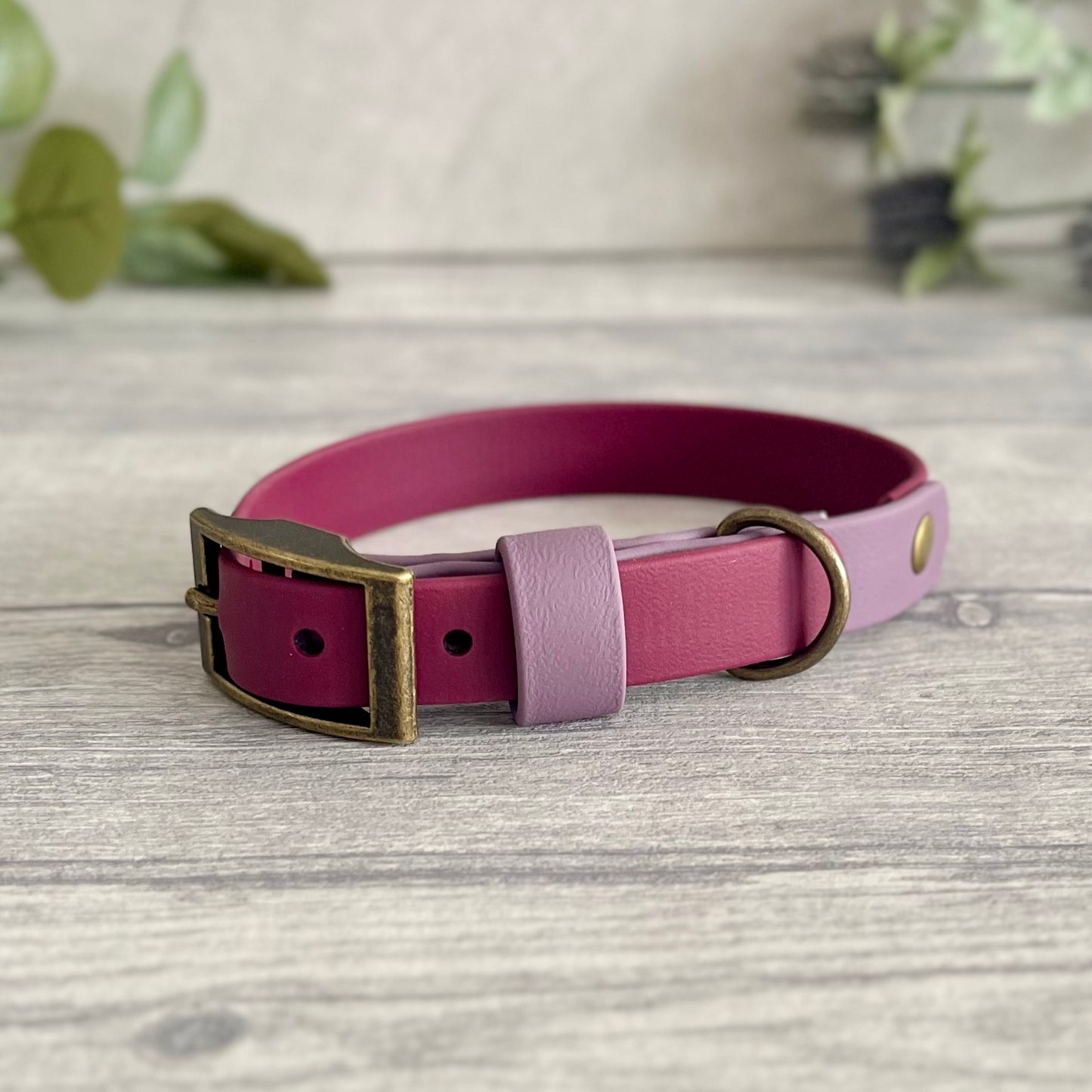 Wine Red & Mauve Two Tone BioThane® Dog Collar