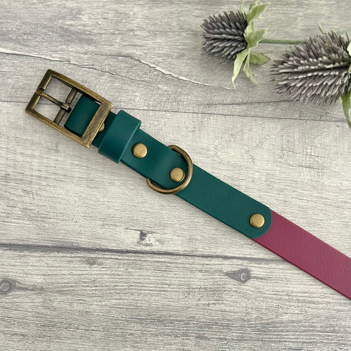 Wine Red & Green BioThane® Dog Collar