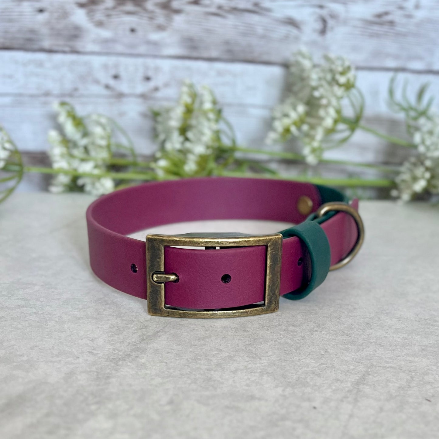 Wine Red & Green BioThane® Dog Collar