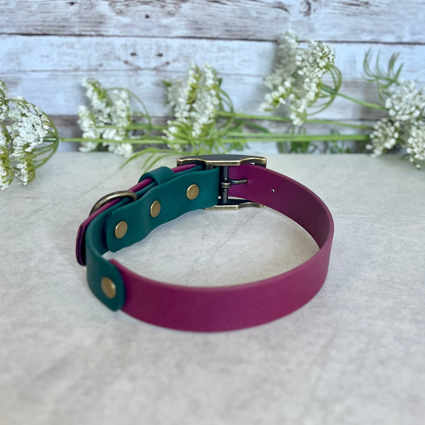 Wine Red & Green BioThane® Dog Collar