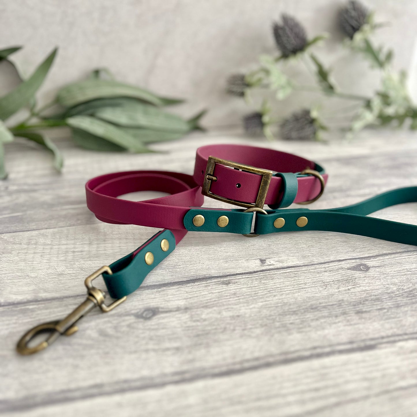 Wine Red & Green BioThane® Dog Collar