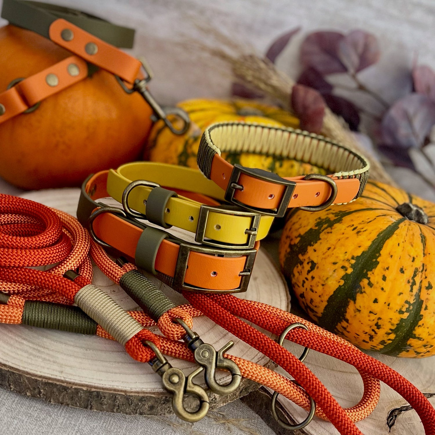 Autumn Collection