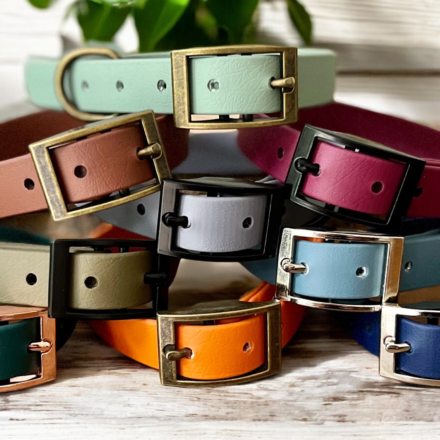 A selection of different coloured biothane dog collar stacked on top of each other. Each collar has a metal buckle with a metal D-ring. They are fastened and have 5 punched holes spaced 2cm apart.