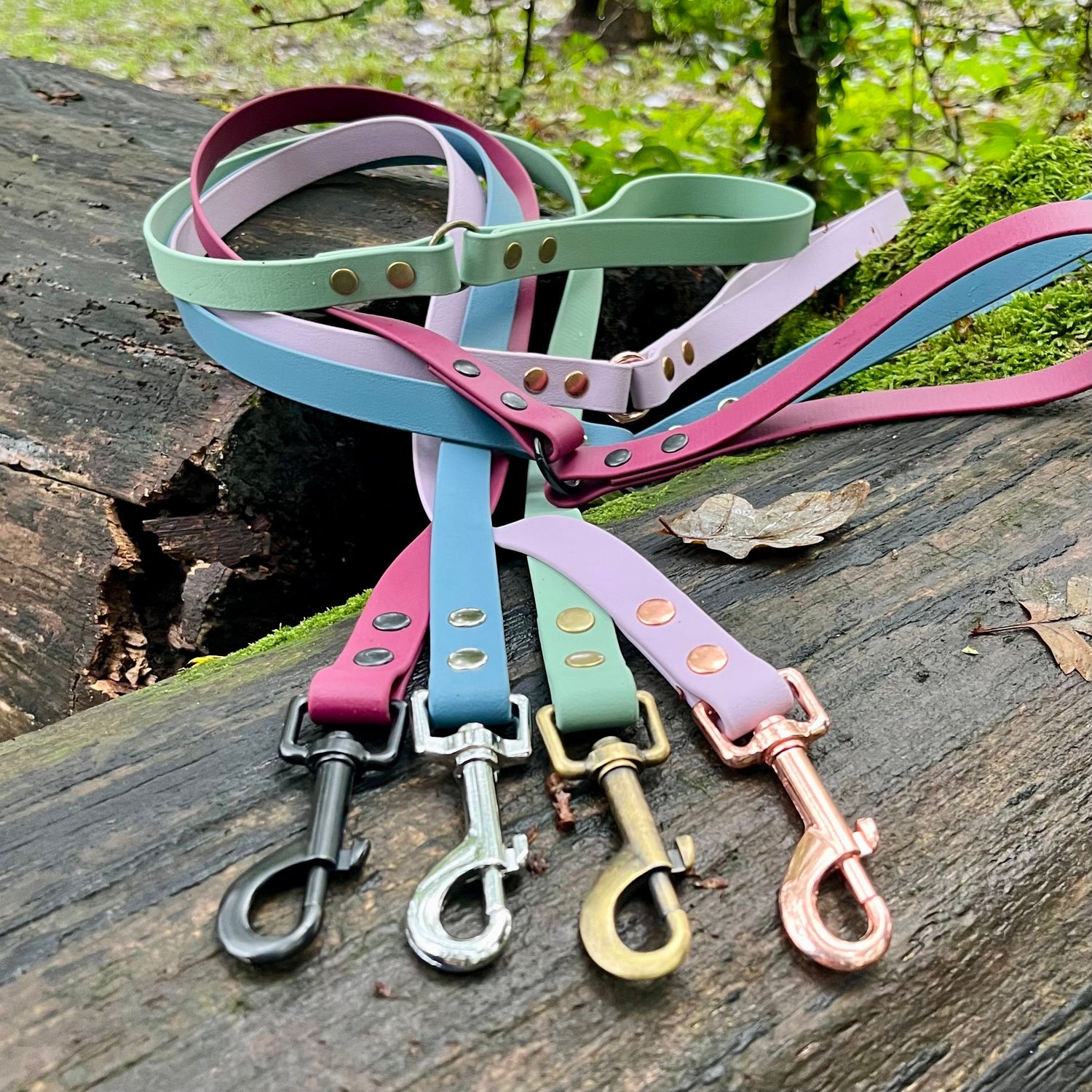 BioThane® Dog Leads