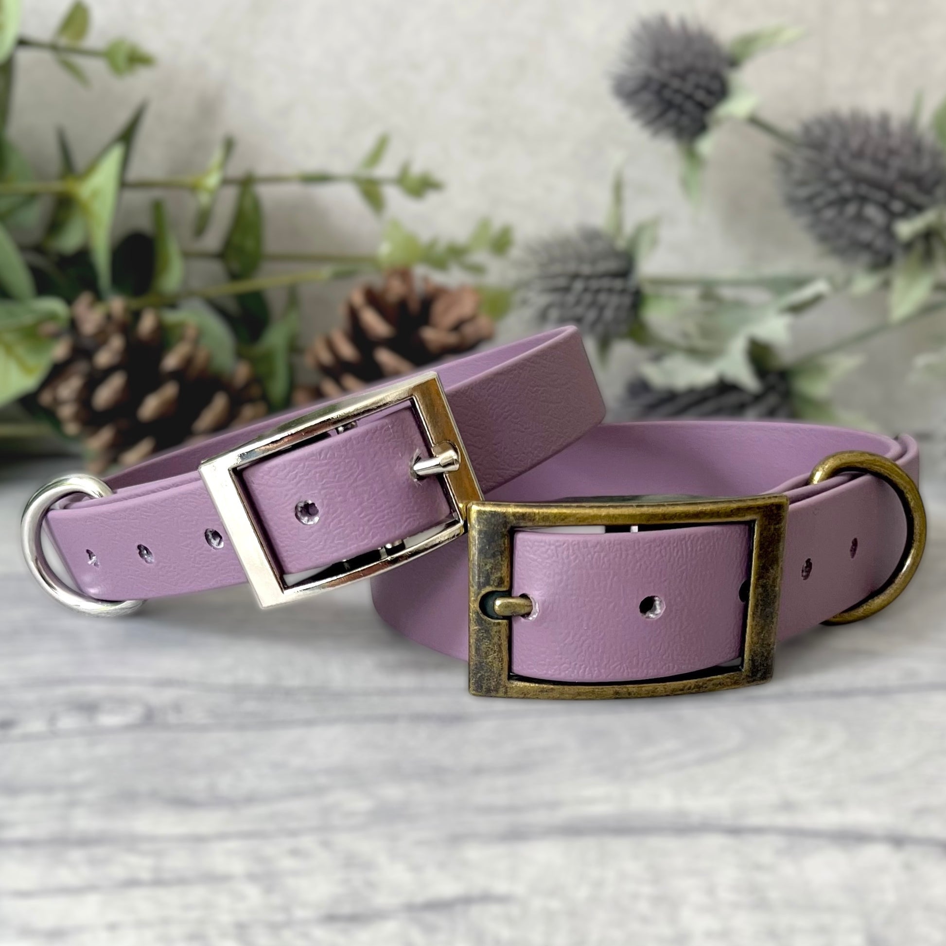 Two Mauve Biothane dog collars with Silver & Antique Brass hardware. The collars are fastened with a buckle and have a d-ring. There are 5 punched holes spaced 2cm apart.