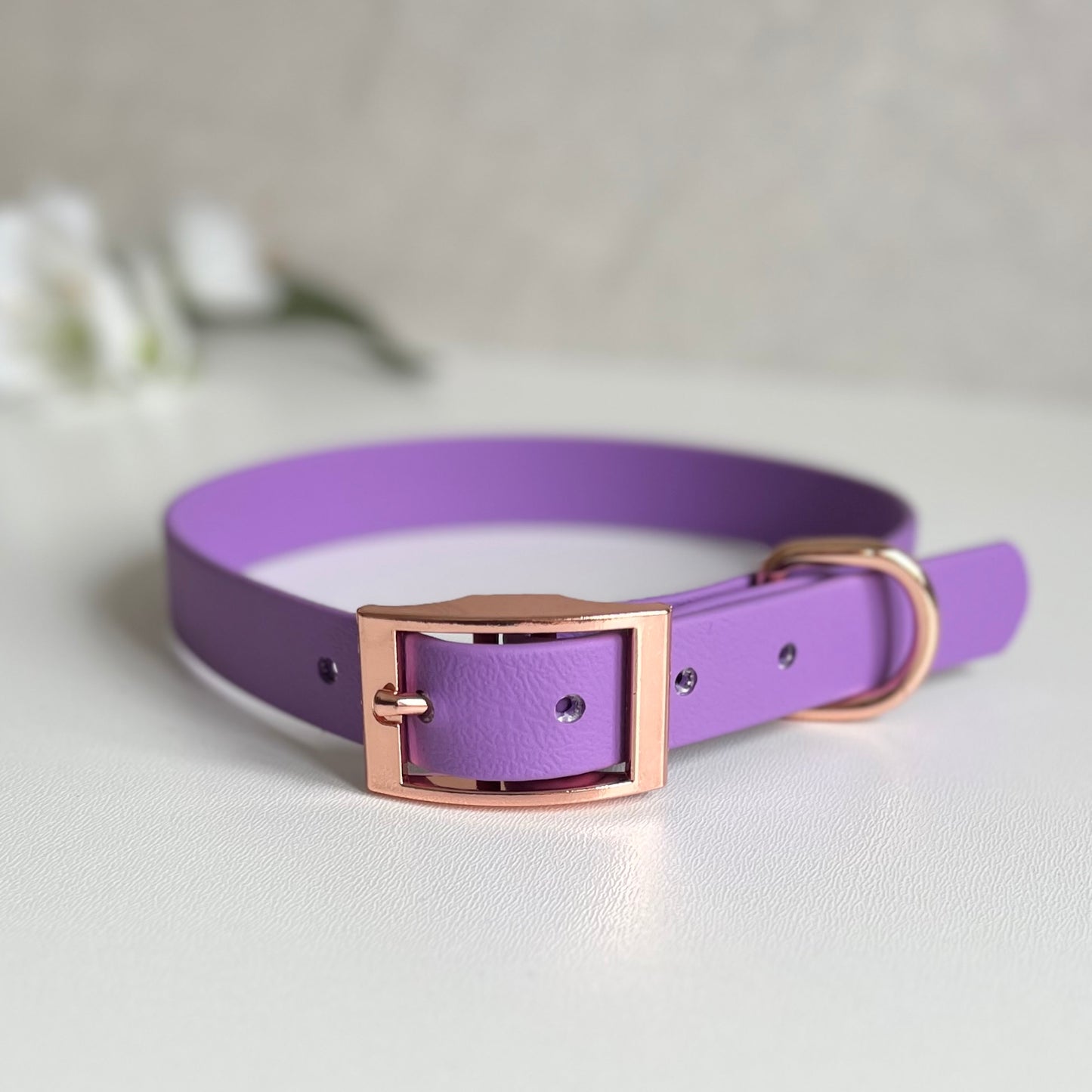 Amethyst purple dog collar with a rose gold buckle on a light background