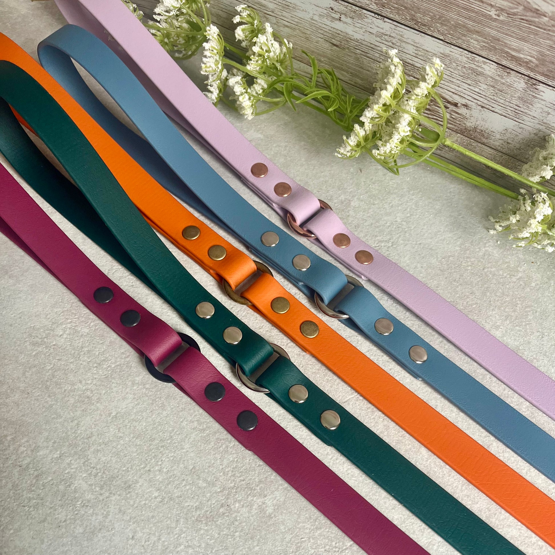 Set of colourful dog leads on a light surface