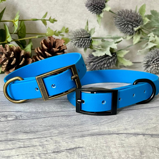 Two Blue Biothane dog collars with Silver hardware. The collars are fastened with a buckle and have a d-ring. There are 5 punched holes spaced 2cm apart.