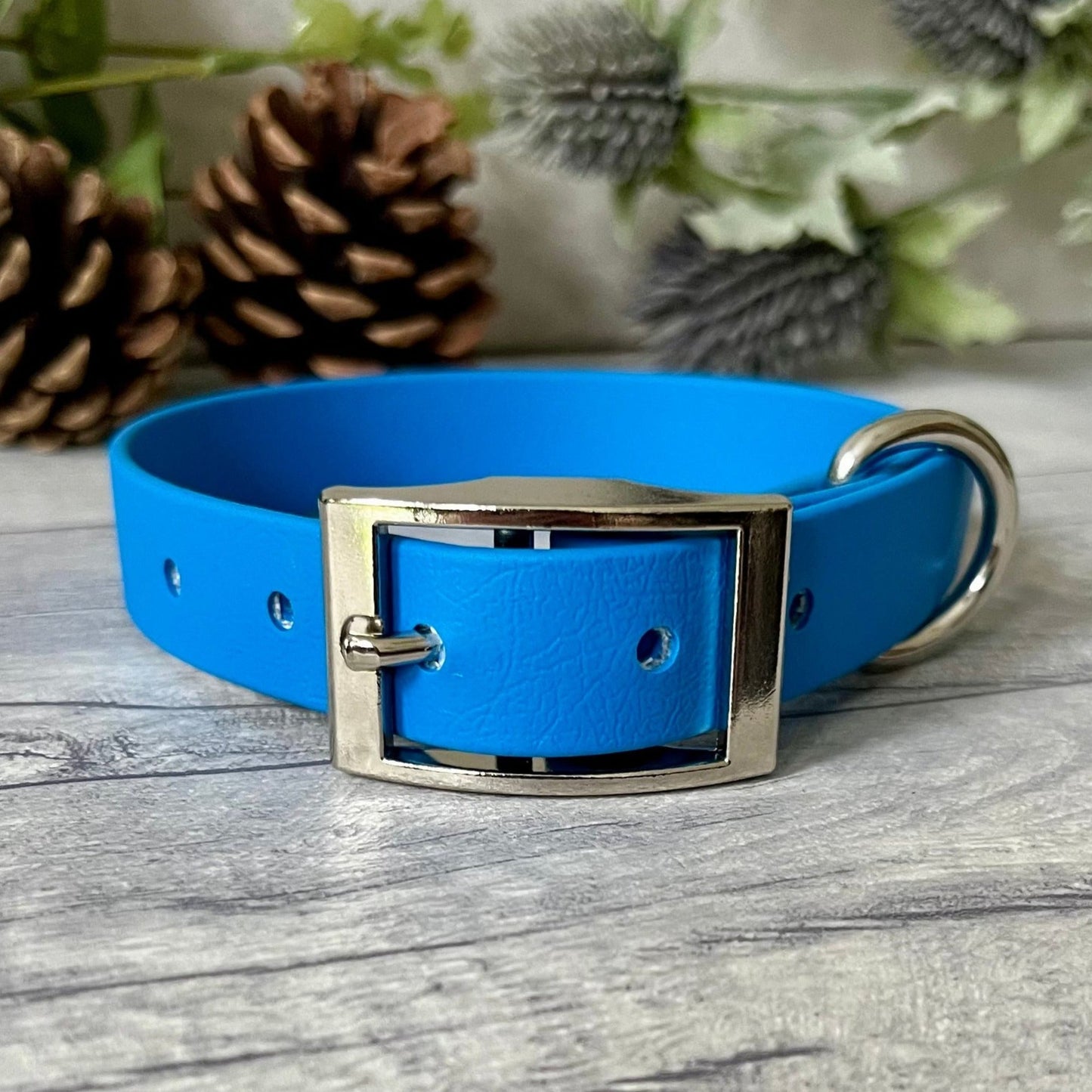 Blue Biothane dog collar with Silver hardware. The collar is fastened with a buckle and has a d-ring. There are 5 punched holes spaced 2cm apart.