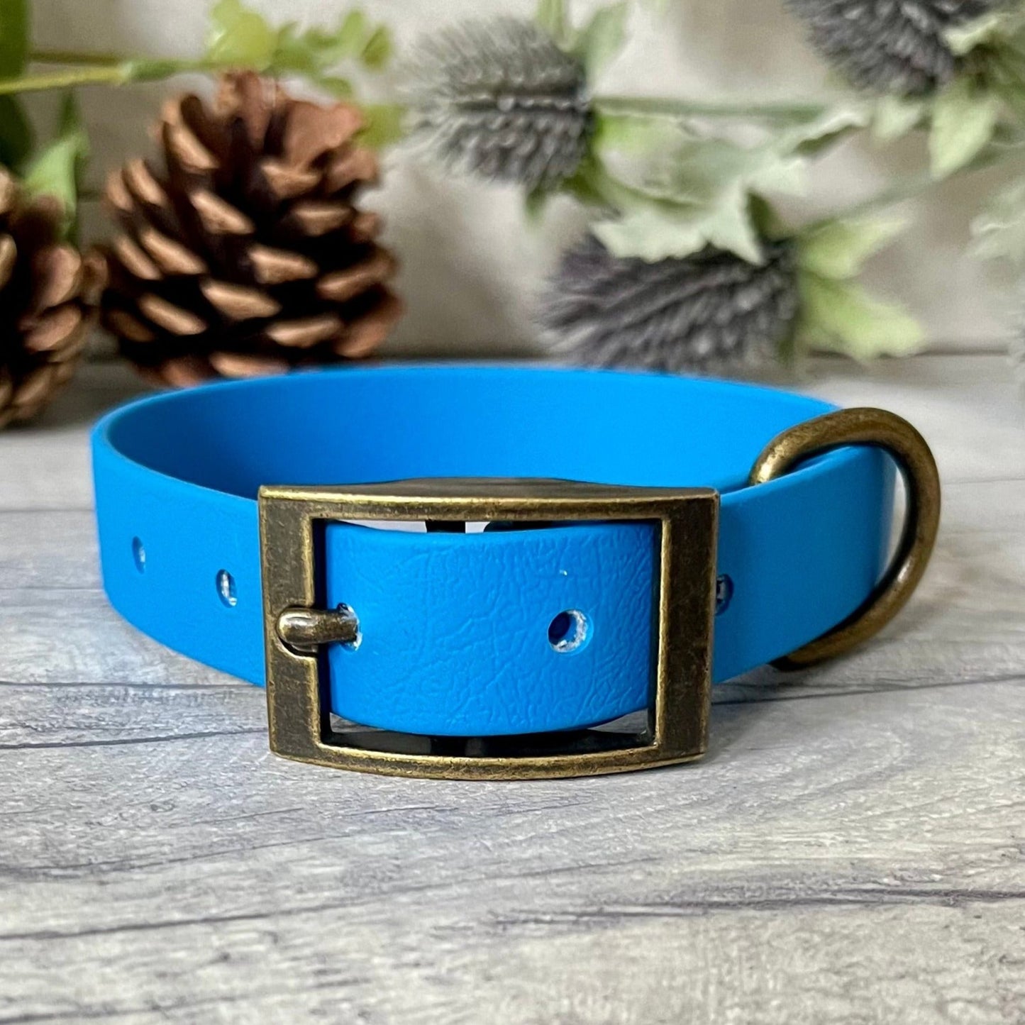 Blue Biothane dog collar with Antique Brass hardware. The collar is fastened with a buckle and has a d-ring. There are 5 punched holes spaced 2cm apart.