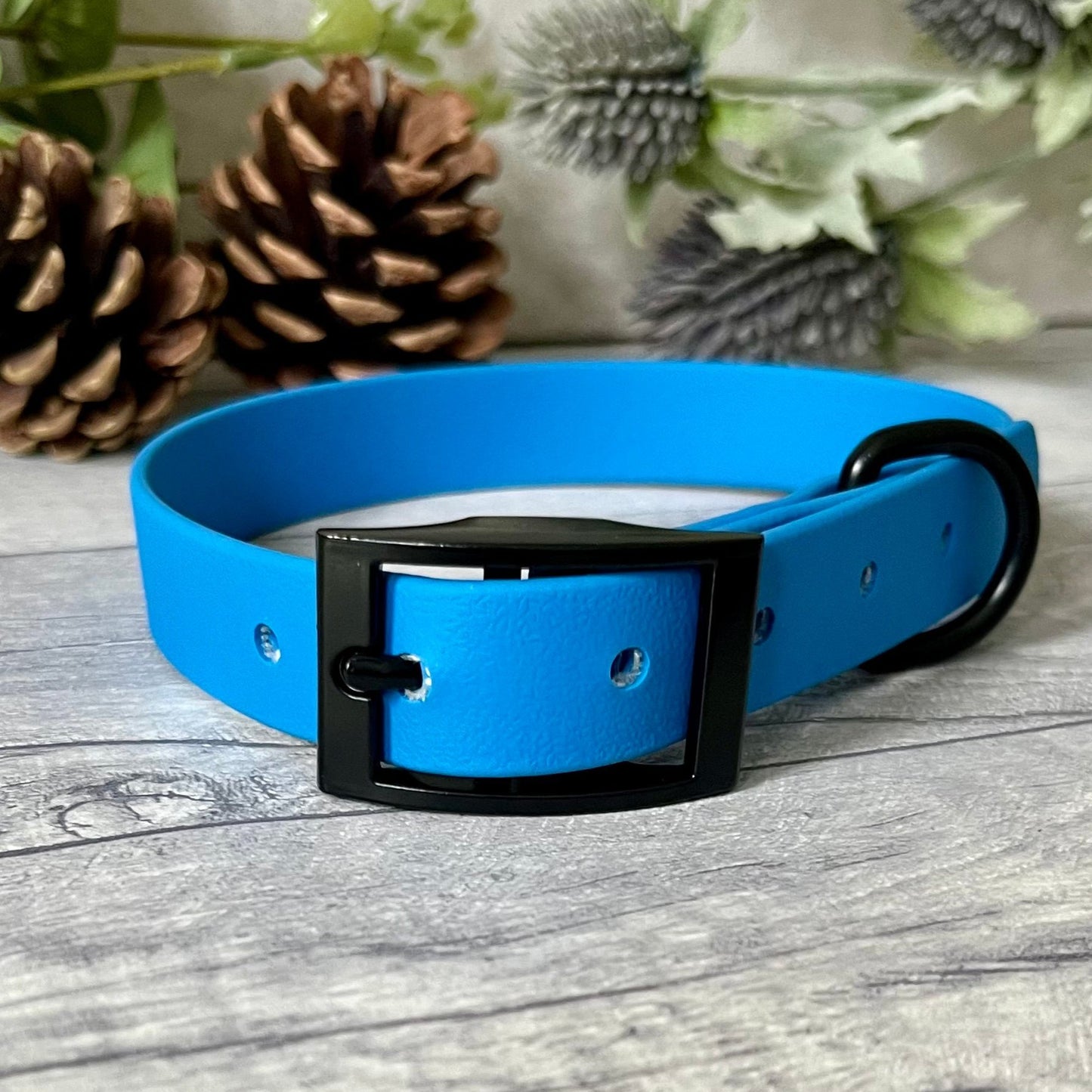 Blue Biothane dog collar with Black hardware. The collar is fastened with a buckle and has a d-ring. There are 5 punched holes spaced 2cm apart.