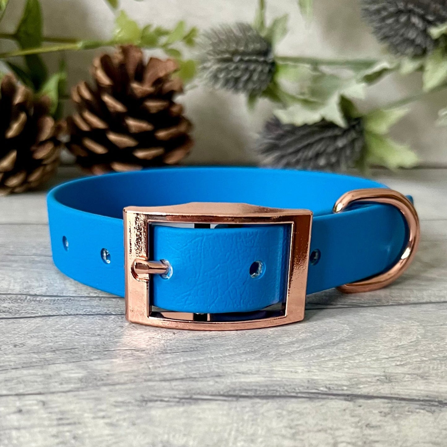 Blue Biothane dog collar with Rose Gold hardware. The collar is fastened with a buckle and has a d-ring. There are 5 punched holes spaced 2cm apart.