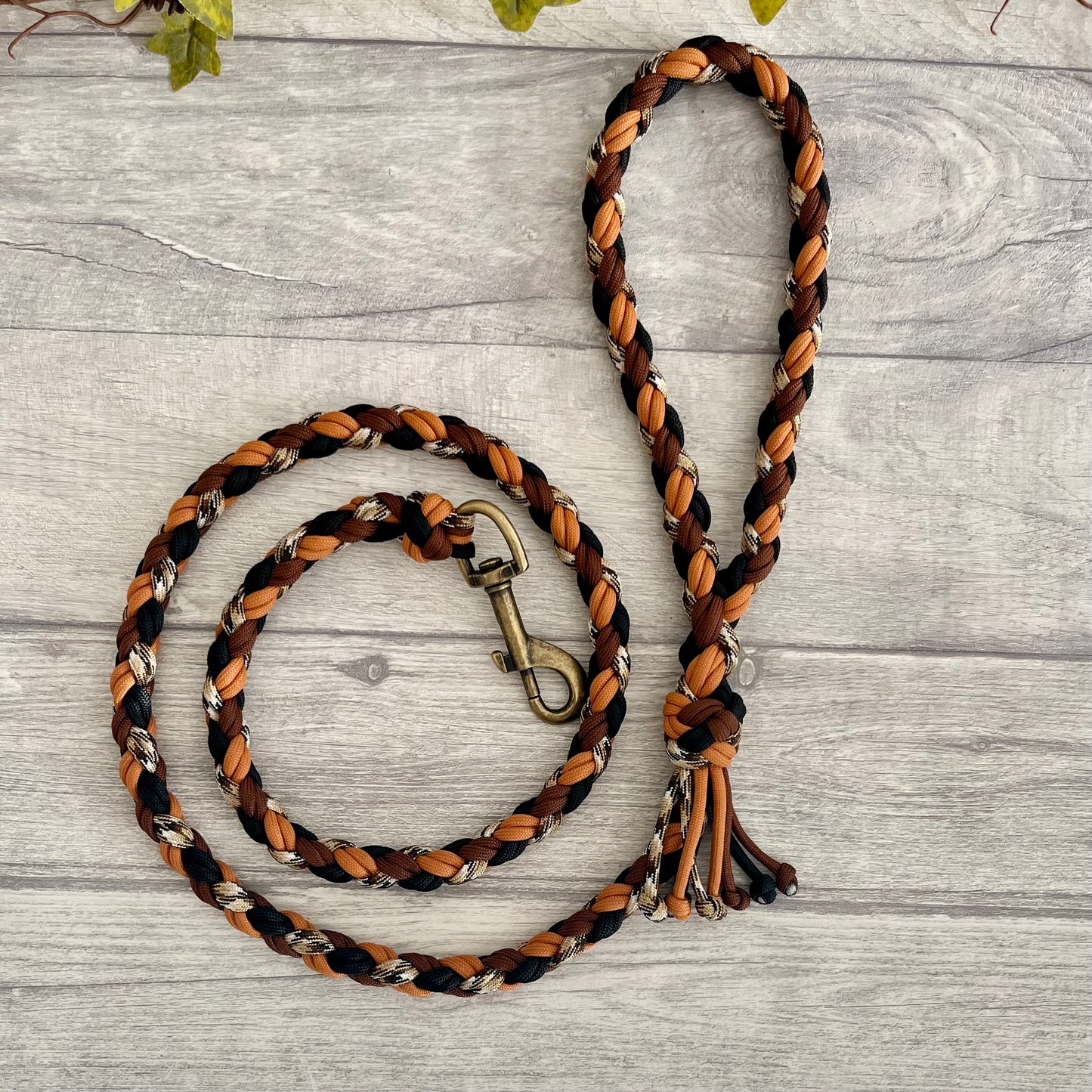 Rustic Trail Braided Rope Lead