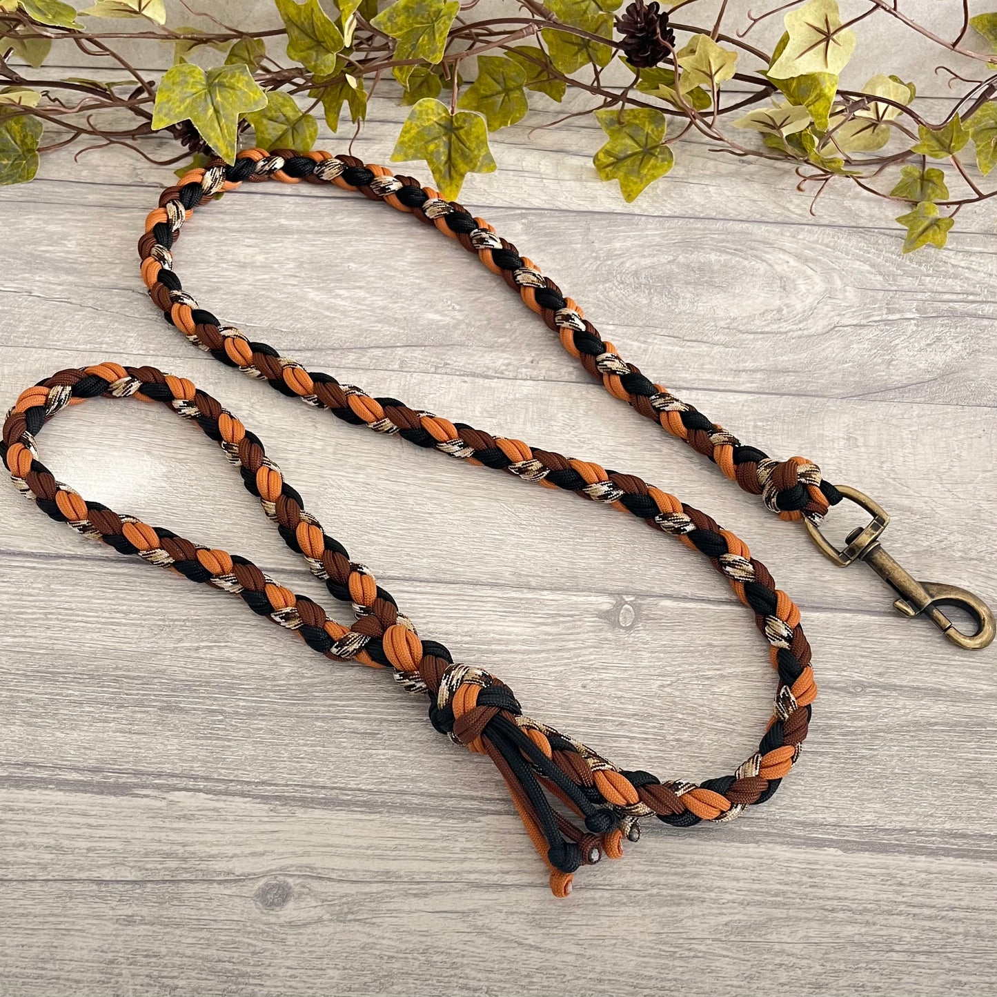 Rustic Trail Braided Rope Lead