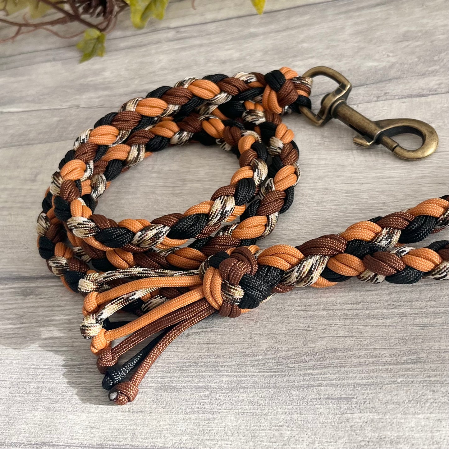 Rustic Trail Braided Rope Lead