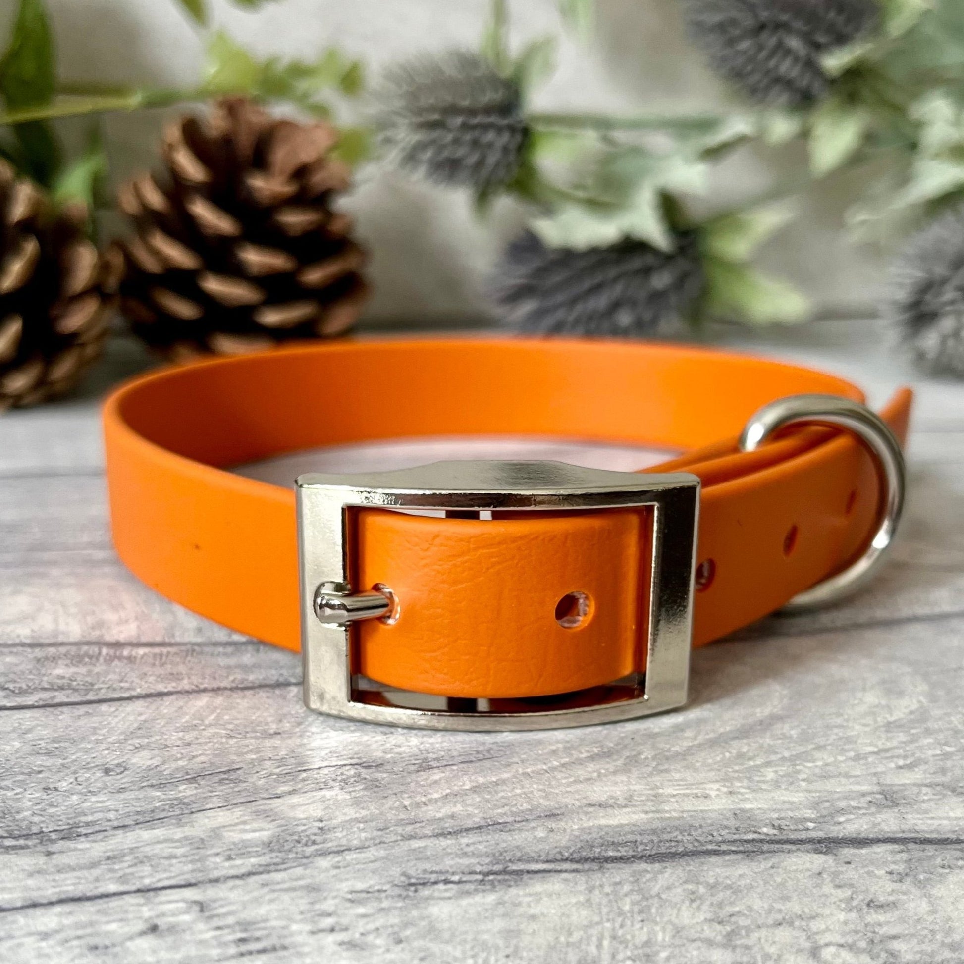 Orange Biothane dog collar with Silver hardware. The collar is fastened with a buckle and has a d-ring. There are 5 punched holes spaced 2cm